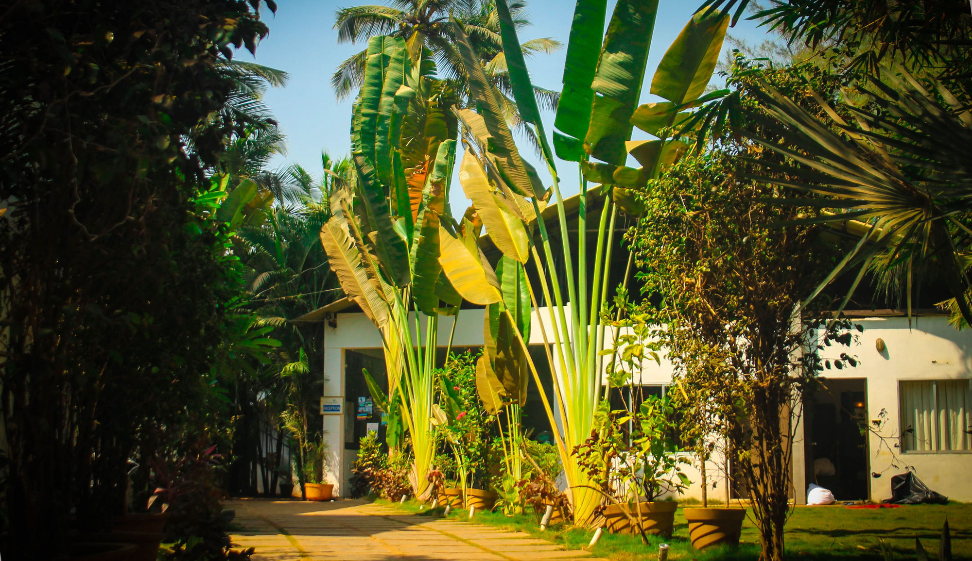 Rococco Ashvem Hotel Mandrem Luaran gambar